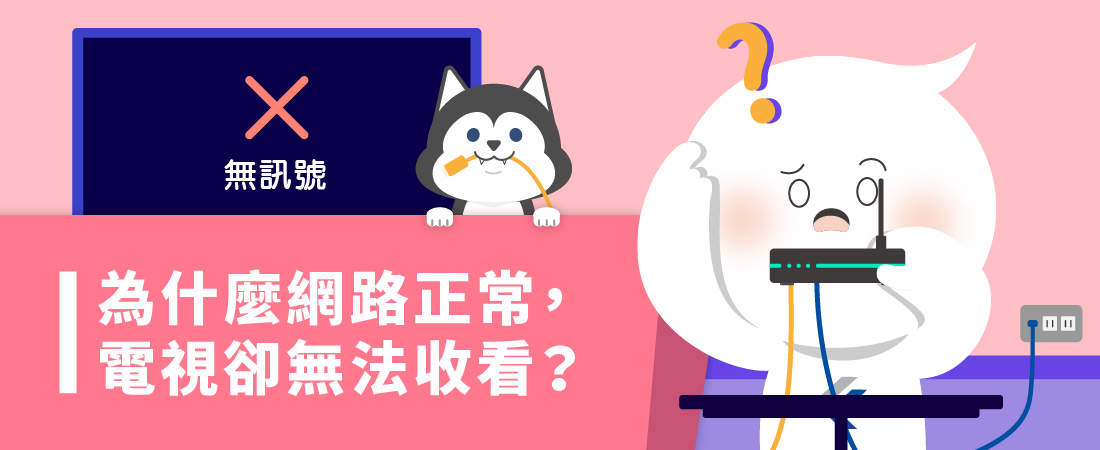 為什麼網路正常電視不能看